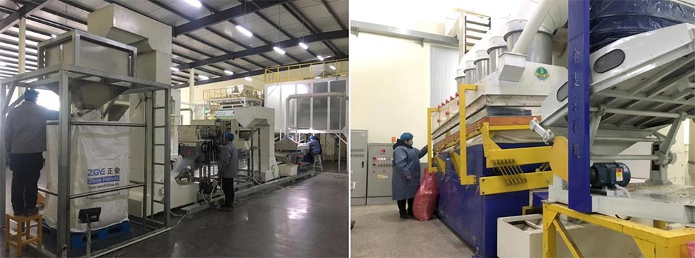 遼寧正業花生產業:共抗疫情,龍頭企業顯擔當!(圖5) 遼寧正業花生產業:共抗疫情,龍頭企業顯擔當!(圖5)