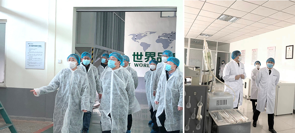 葫蘆島、興城兩市領導蒞臨正業花生產業調研指導(圖1) 葫蘆島、興城兩市領導蒞臨正業花生產業調研指導(圖1)