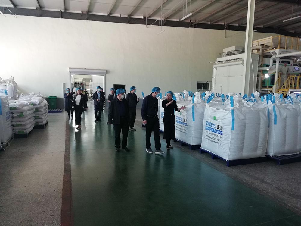 省農業農村廳領導蒞臨花生公司考察指導(圖3) 省農業農村廳領導蒞臨花生公司考察指導(圖3)