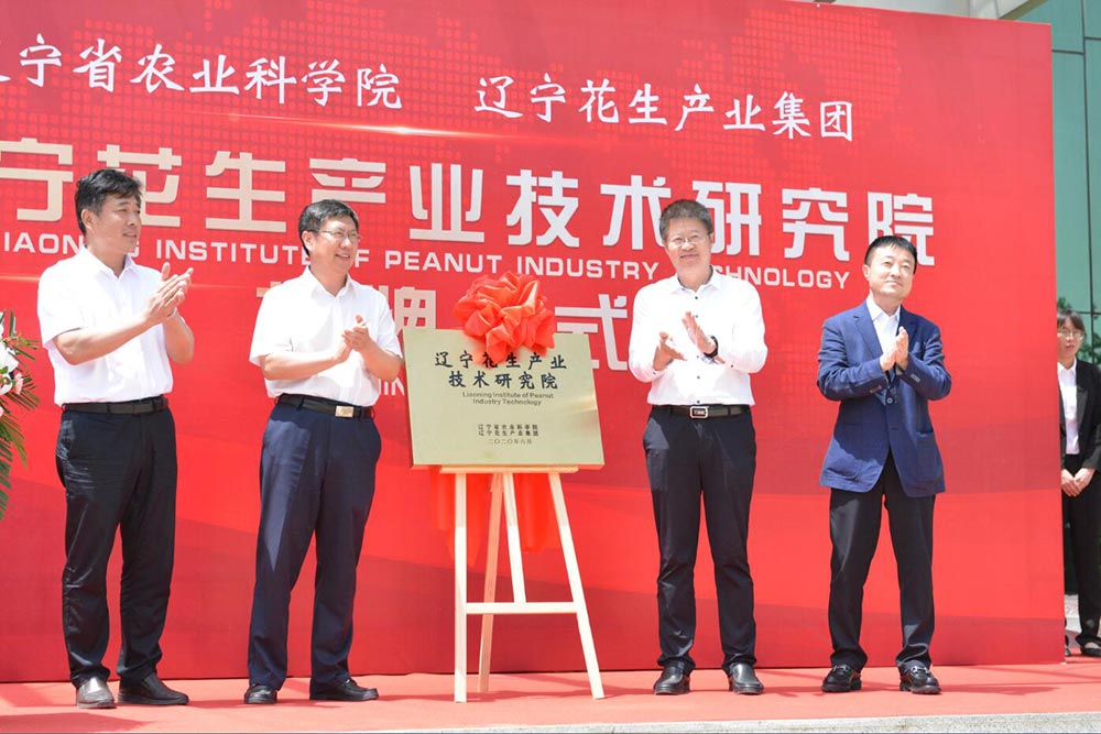 遼寧花生產業技術研究院揭牌儀式隆重舉行(圖4) 遼寧花生產業技術研究院揭牌儀式隆重舉行(圖4)