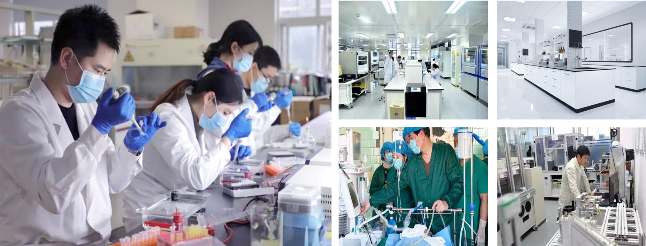 美全醫療集團(圖2)